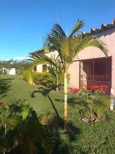 Vendo chácara em Campinas  - Foto 2
