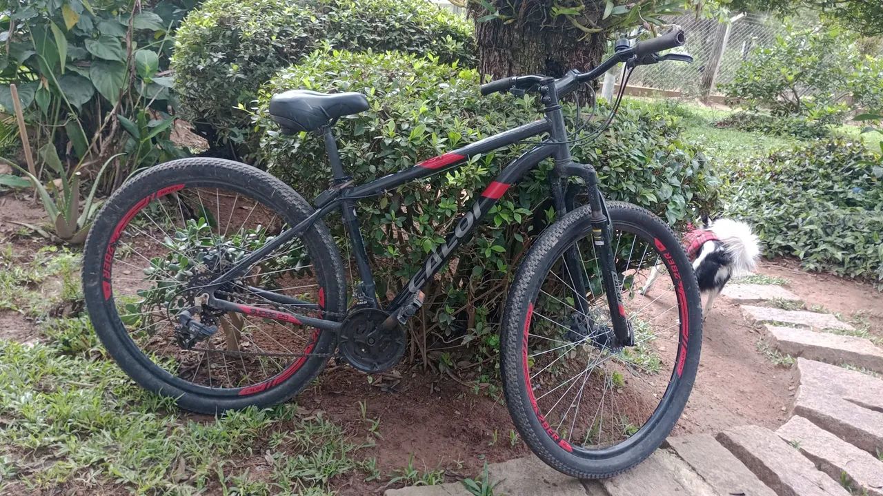Bicicleta 