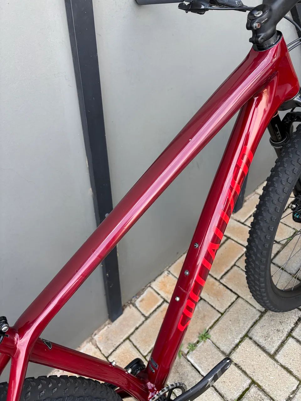 Specialized Epic HT TAM L  - Foto 3