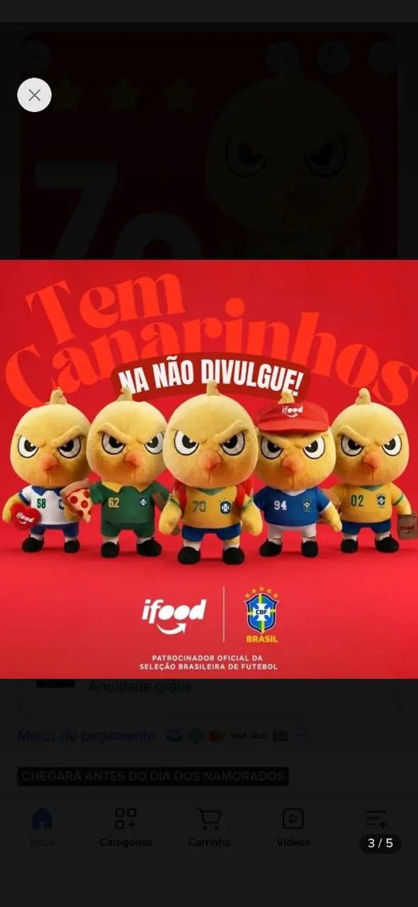 Canarinho da seleção brasileira 2002 - Foto 4