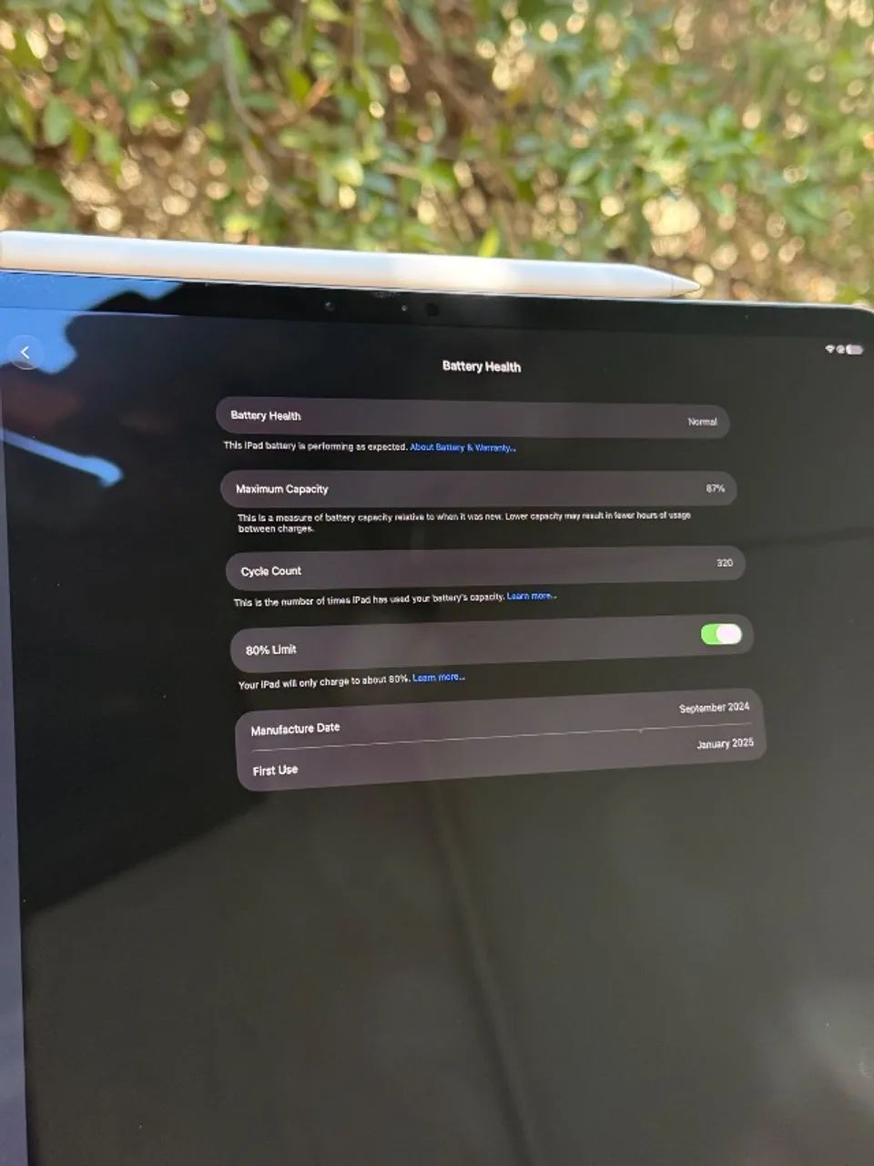 iPad Pro M4 13p 256GB - Foto 2
