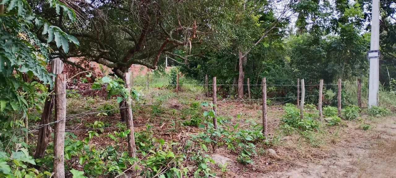 Lote na Lagoa Redonda