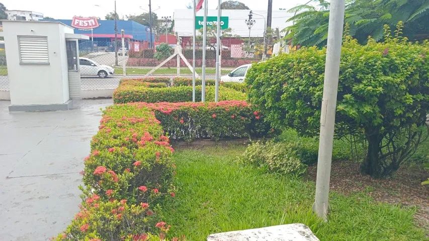 Serviços de jardinagem e roçagem em geral  - Foto 5