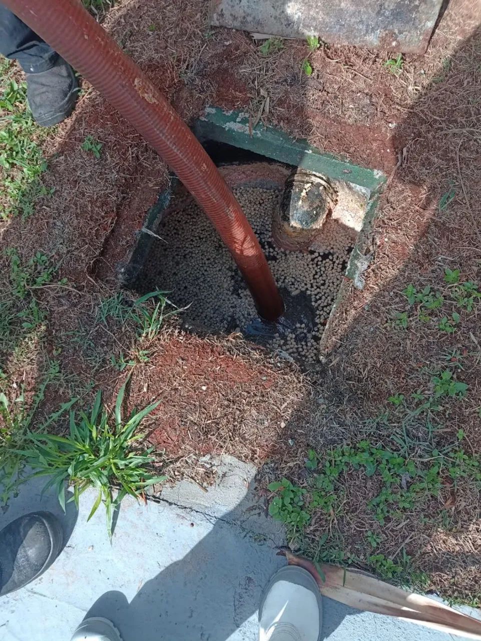 Desentupidora VR - Atendimento 24 horas  - Foto 3