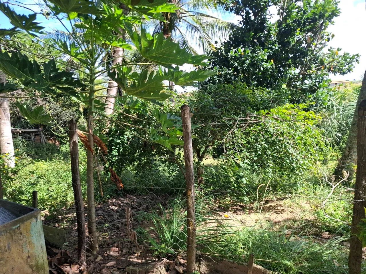 VENDO OU TROCO CHÁCARA- PARCELAMOS EM ATÉ 60 MESES  - Foto 3