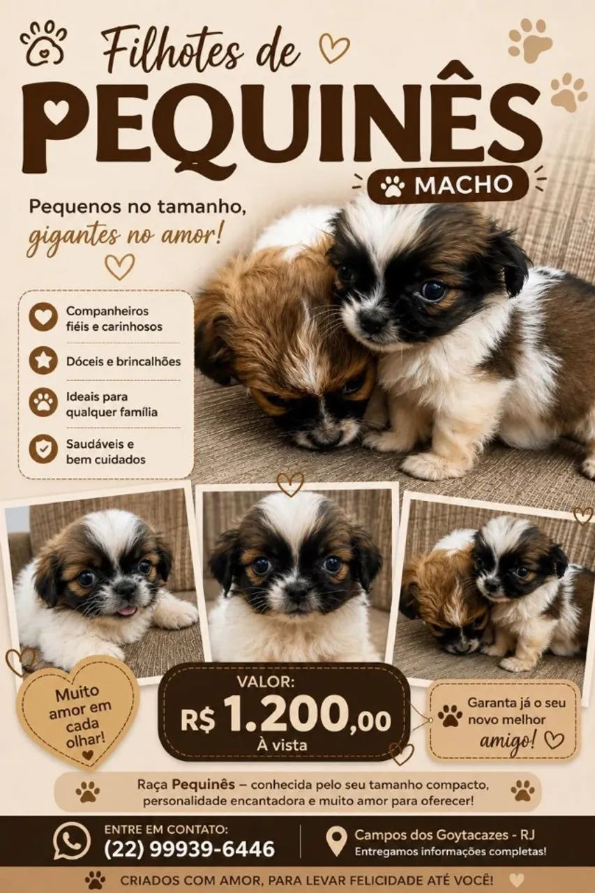 Cachorro Pequines