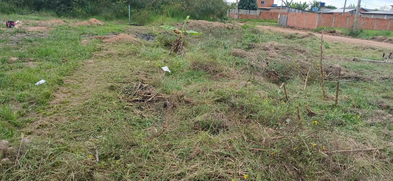 Terreno  - Foto 4
