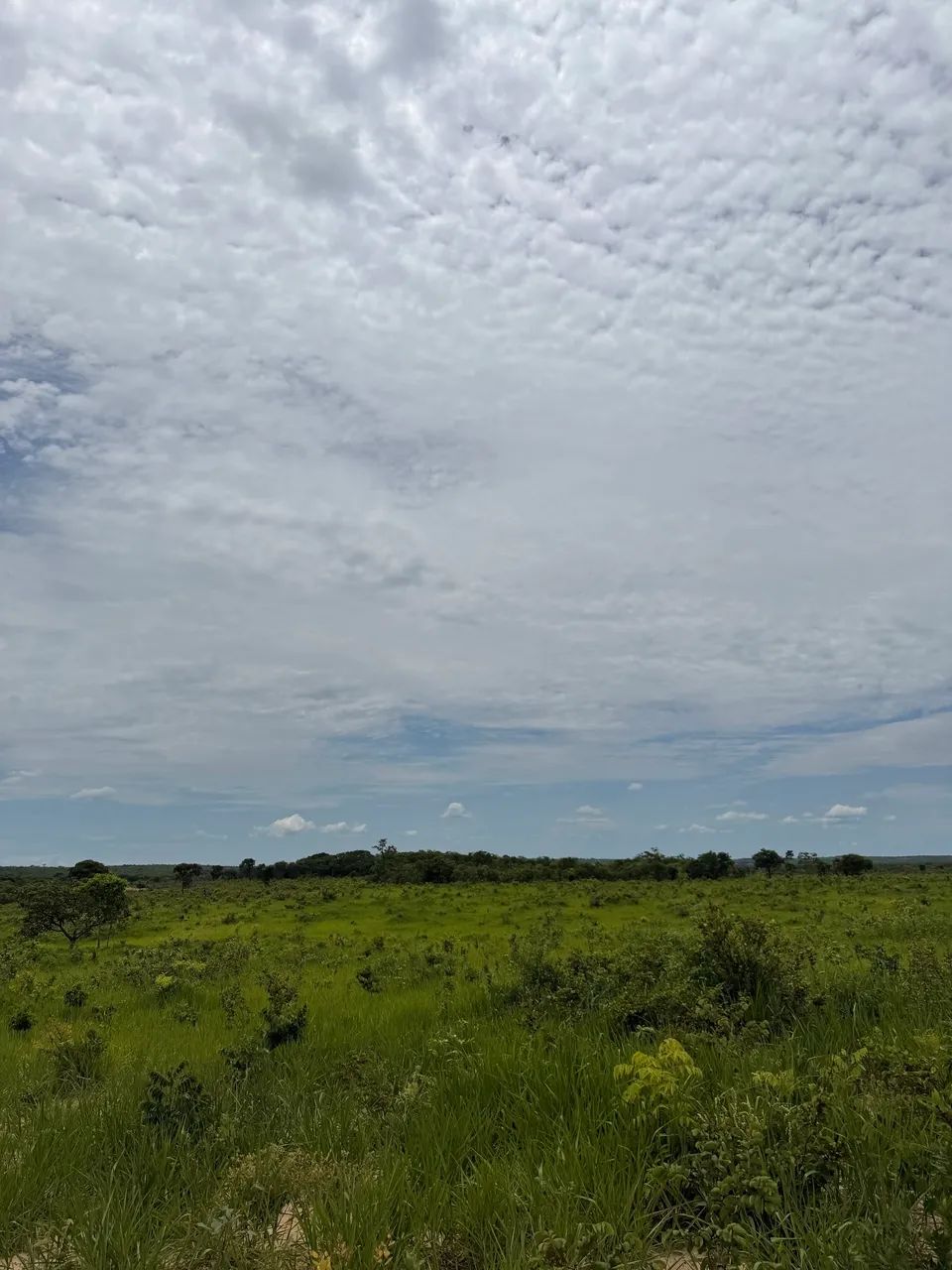 Fazenda norte minas próximo a urucuia e Pintopolis - Foto 5