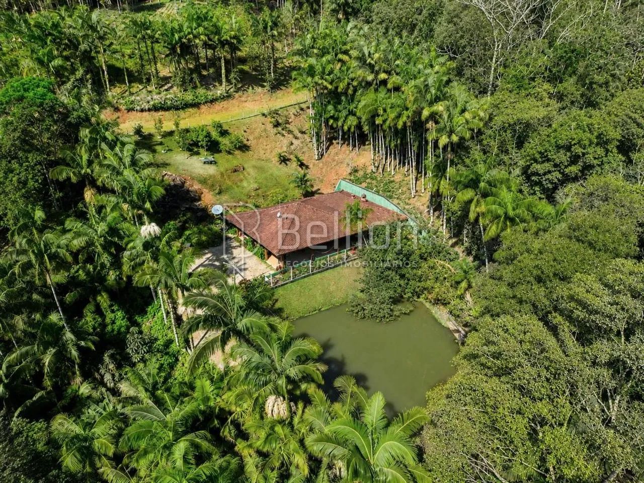 Sítio à Venda em Timbó com 30.000 m², Lagoas e Nascente - Foto 5