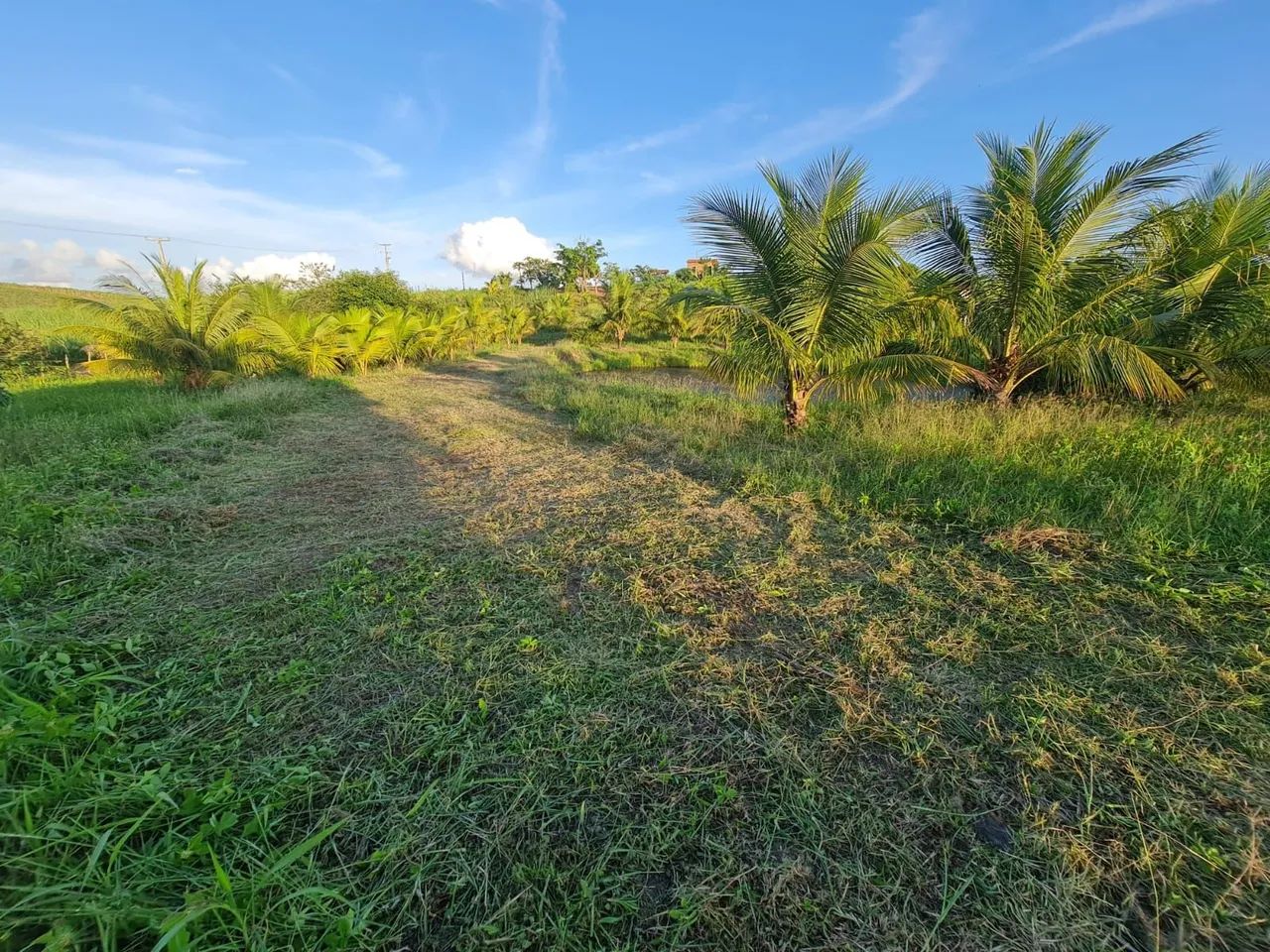 Vendo terreno em trigueiros  - Foto 5