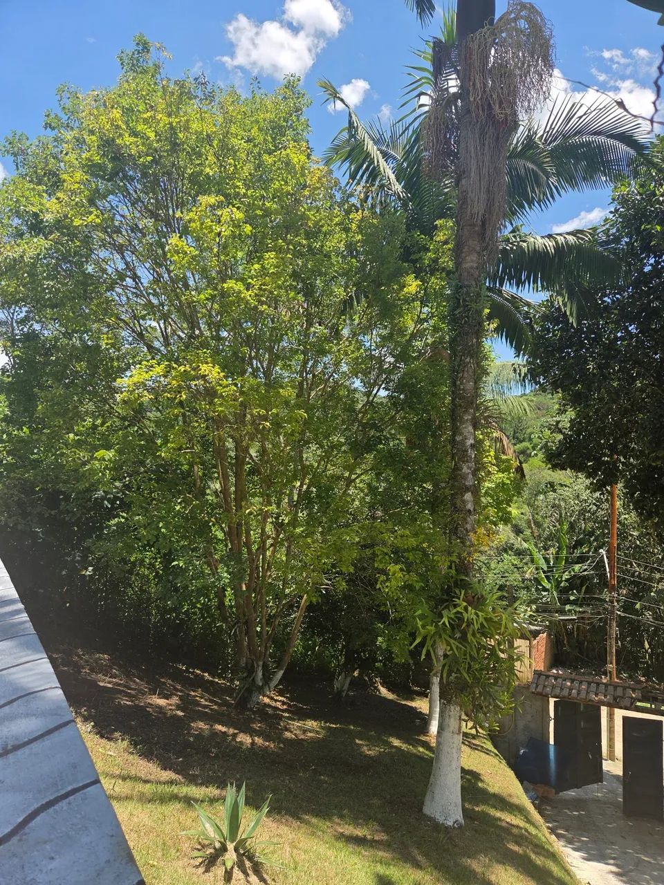 CHÁCARA EM PARELHEIROS - Foto 5