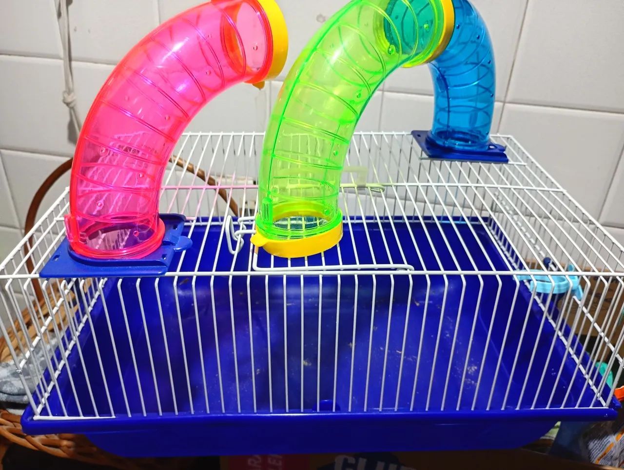 Gaiola hamster 