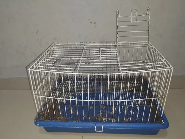 Gaiola