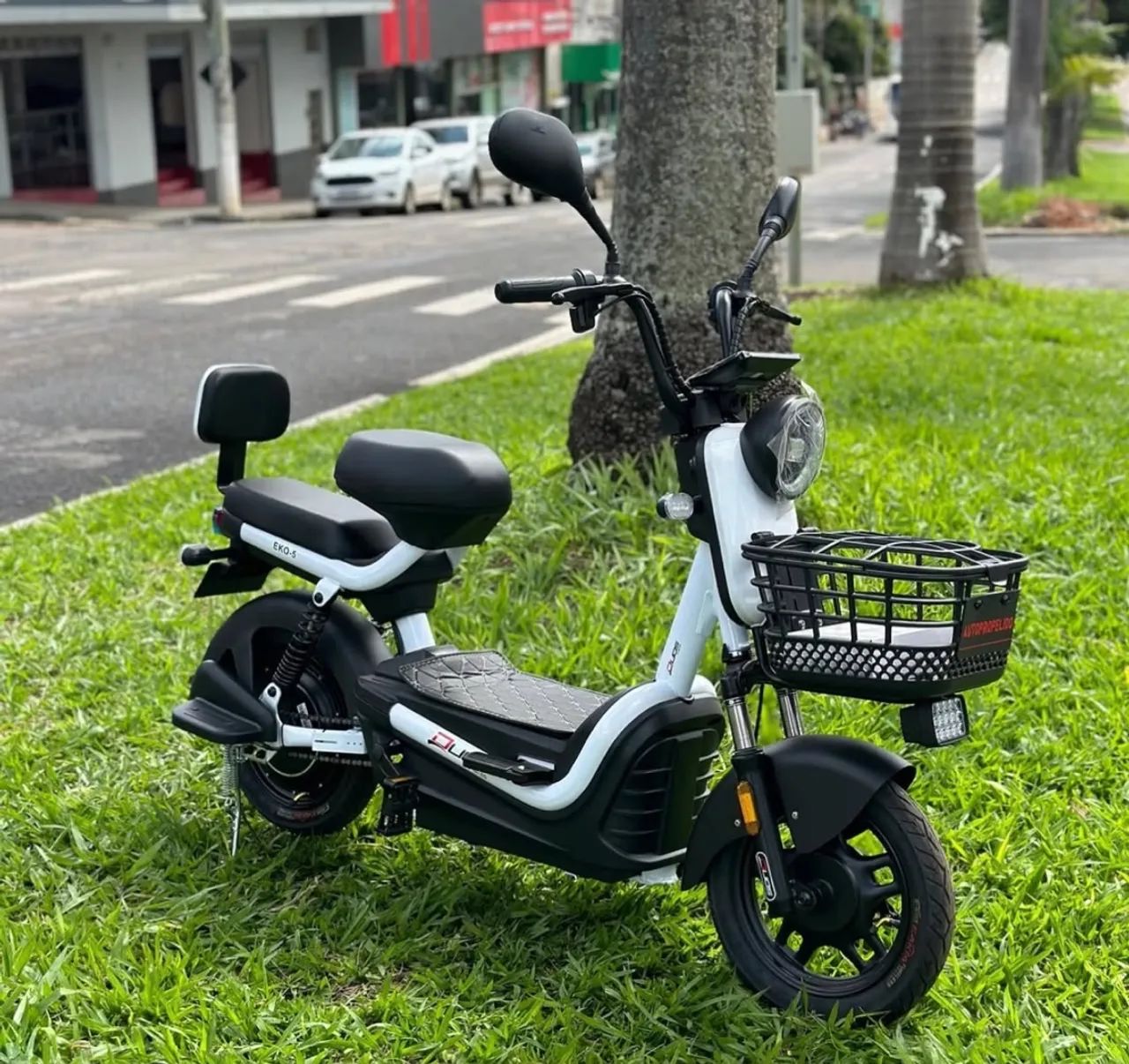Scooter elétrica 
