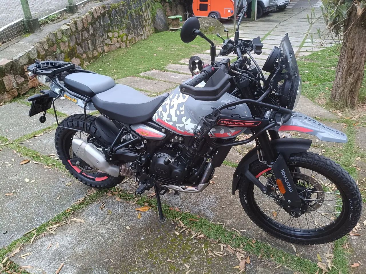 Barbada hymalaia 450 - Foto 4