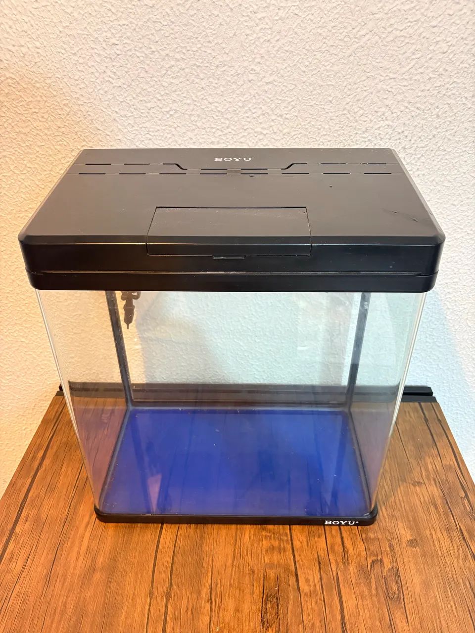 Vendo Aquário Boyu 33L - R$500 ? Voltagem: 220V ? Bomba e iluminação embutidos 