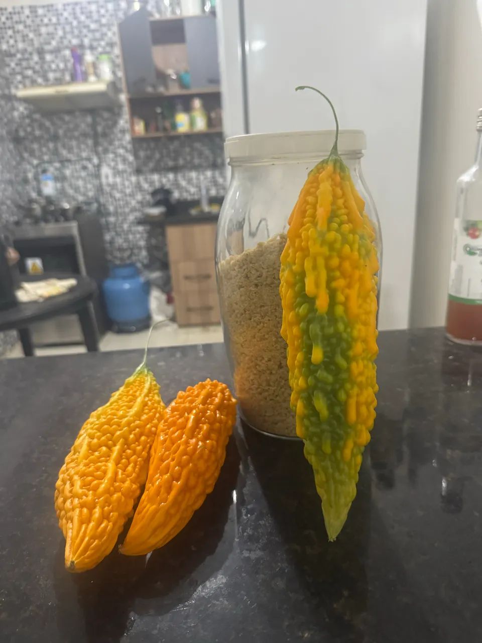 Pepino goya - Foto 2