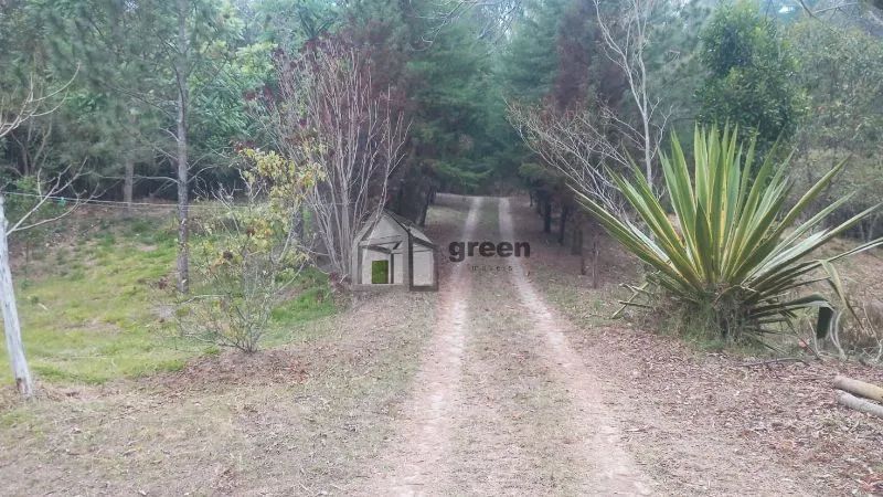 Sitio a venda em Minas Gerais - Foto 3