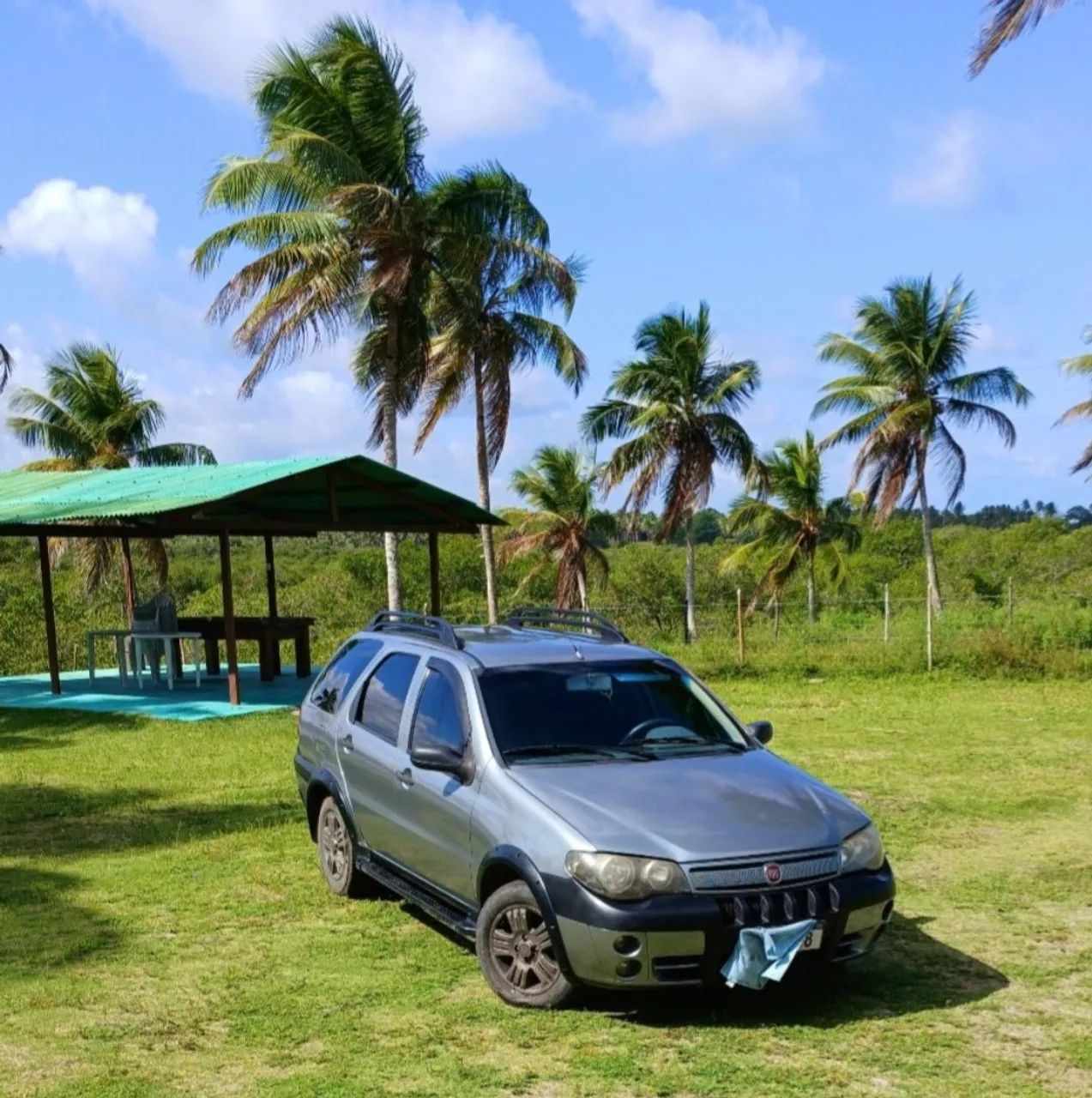 Fiat Palio Week. Adv/adv Tryon 1.8 MPI Flex 2005