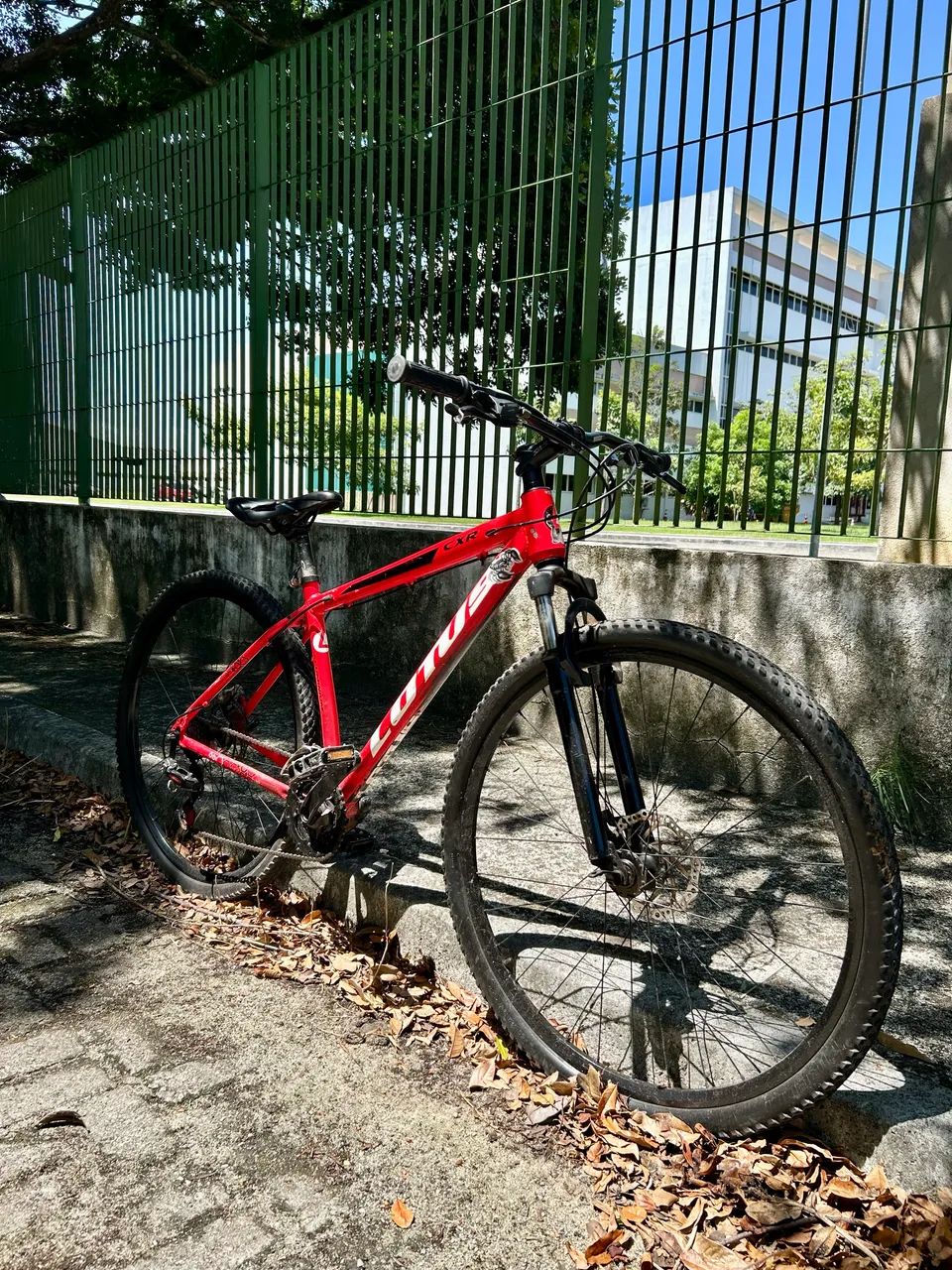 Bicicleta lótus aro 29 