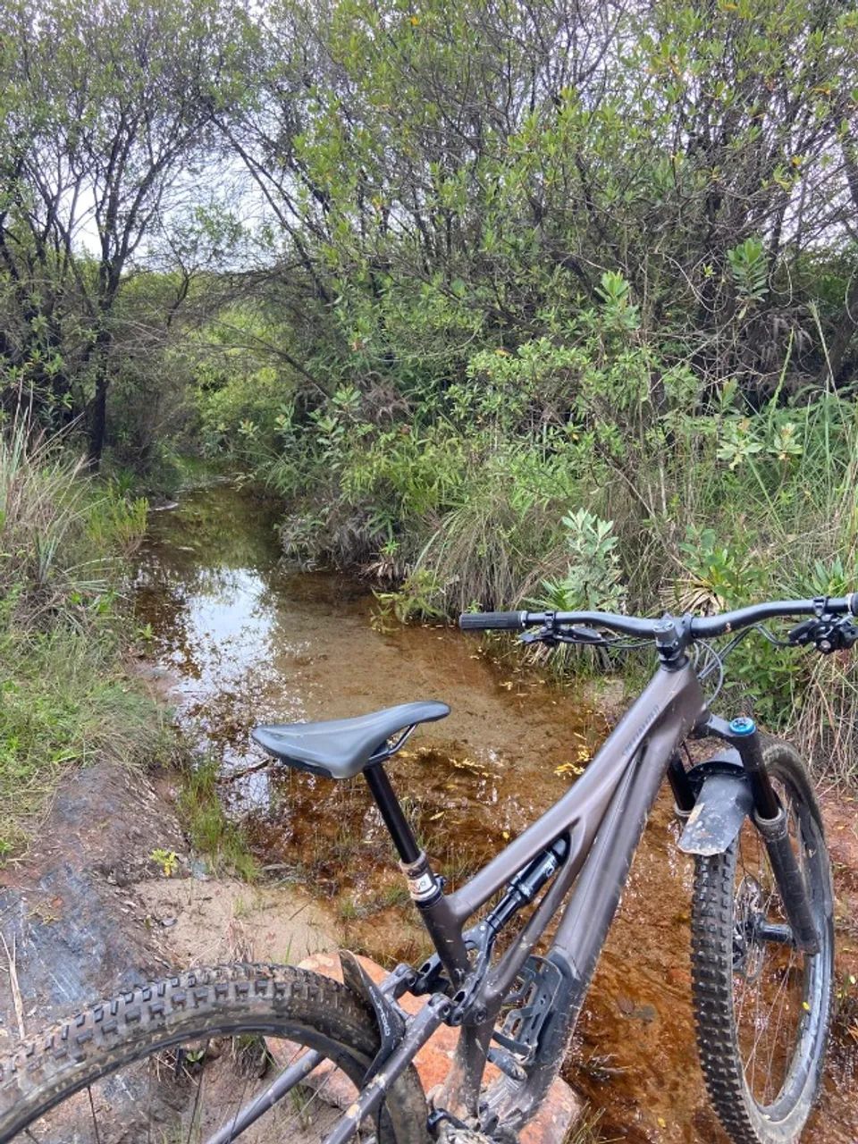 Bike Speciaized Stumpjumper Expert - Foto 2