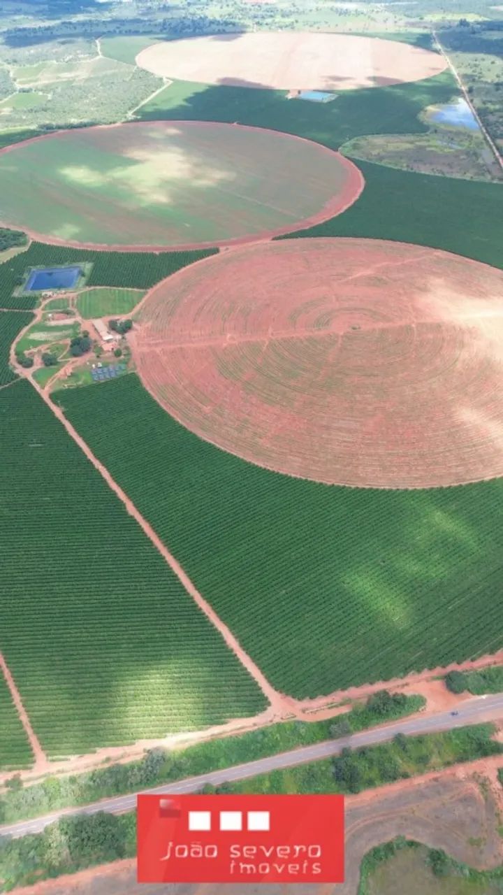 Fazenda para Venda em Patos de Minas - Foto 2