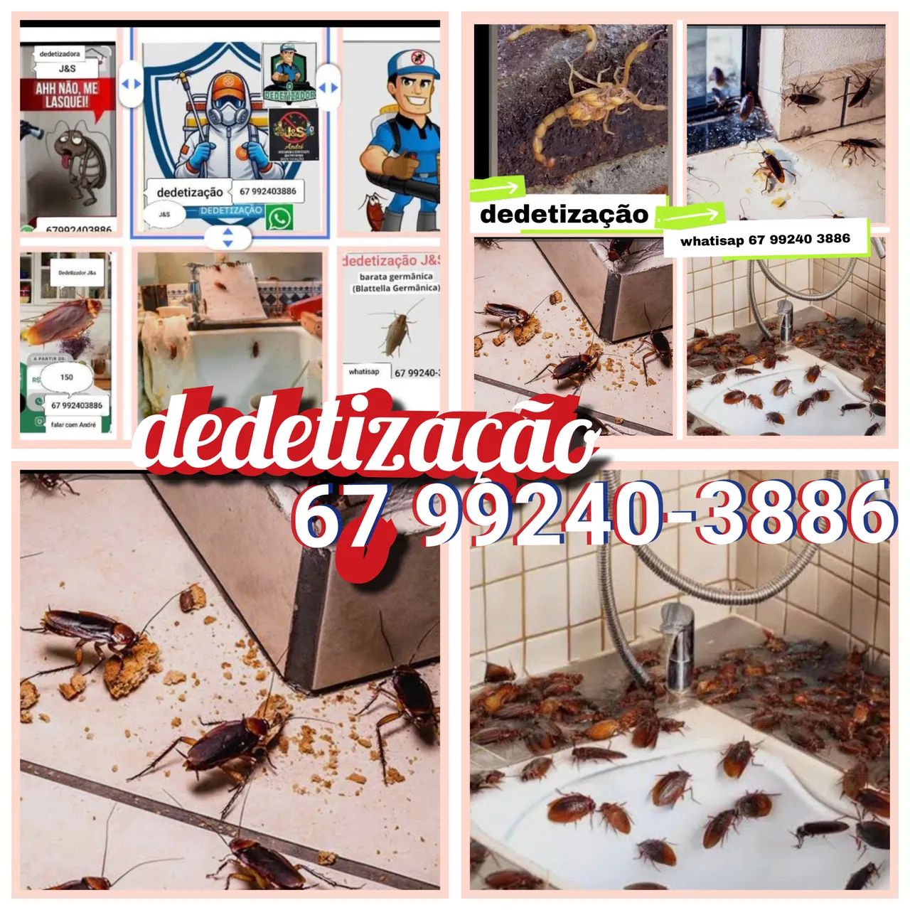 dedetização em residência apt