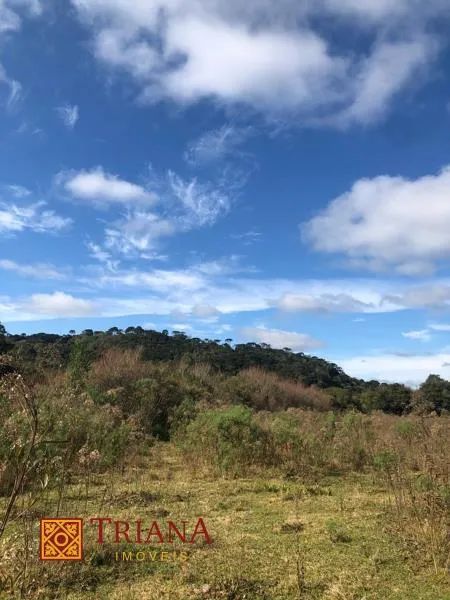 TERRENO PRÓXIMO AO CENTRO DE RIO RUFINO