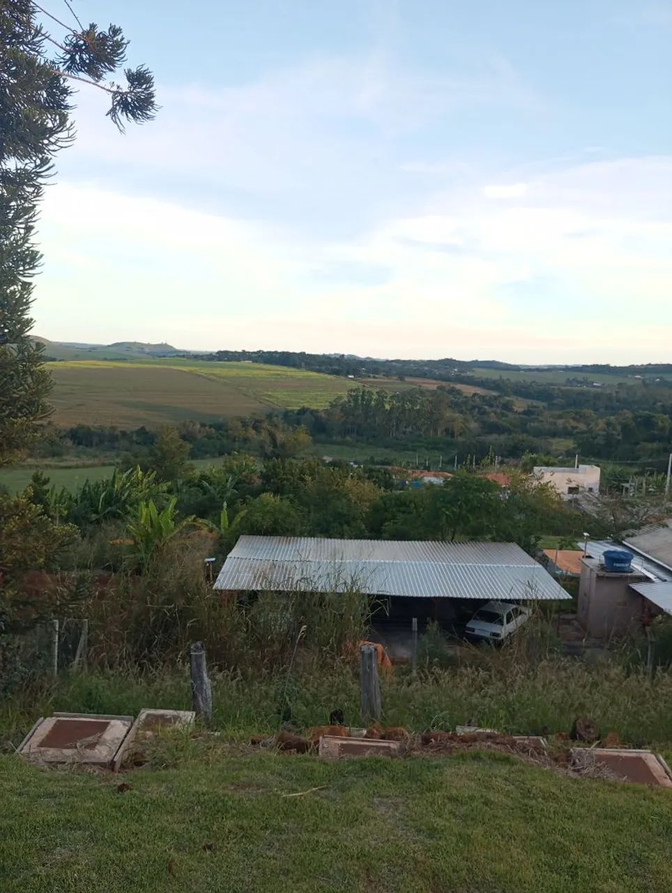 Vendo chácara no Limoeiro. - Foto 3