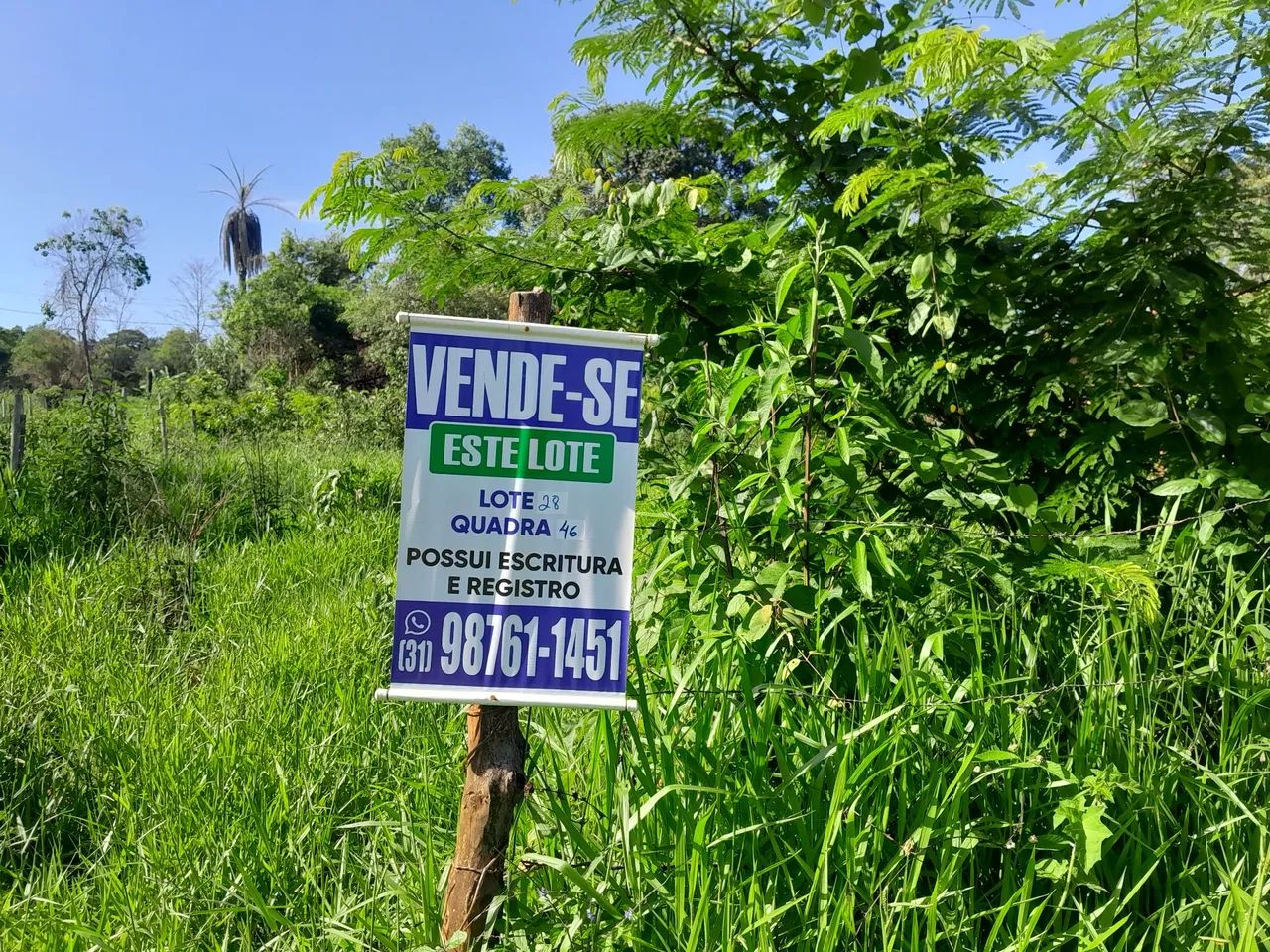 Lotes no bairro paraíso em mateus leme  - Foto 2