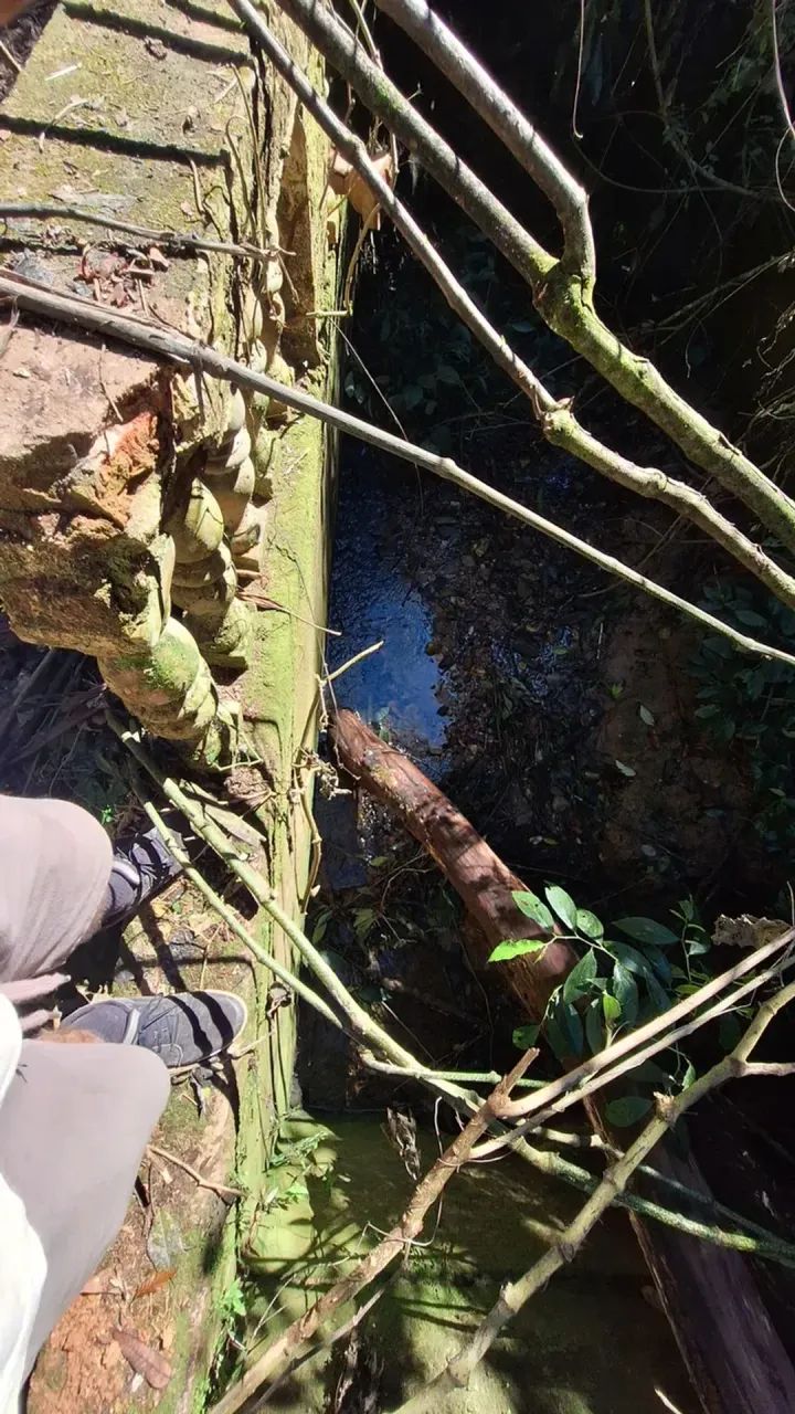 Alogo Chácara em Sousas - Foto 5