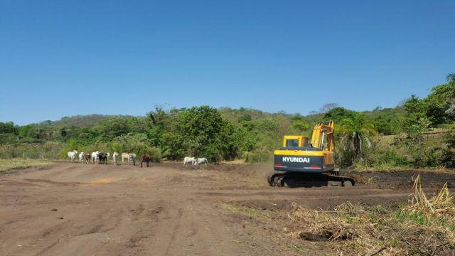 Fazenda com 20 alqueires no município de Inhumas. Excelente - Foto 3