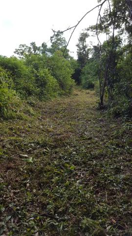 25 hectares documentado por 160 mil reais zap * - Foto 6