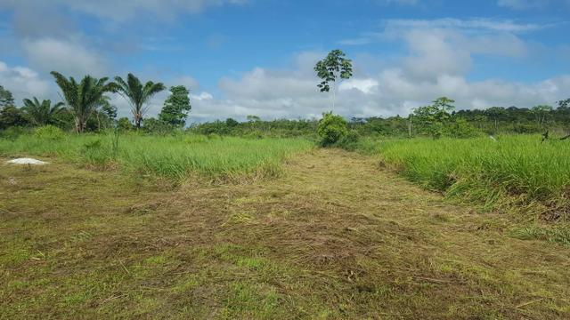 25 hectares documentado por 160 mil reais zap *
