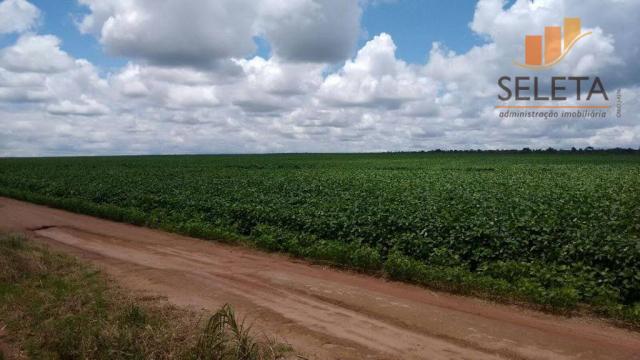 Fazenda rural à venda, zona rural, campo novo do parecis. - Foto 4