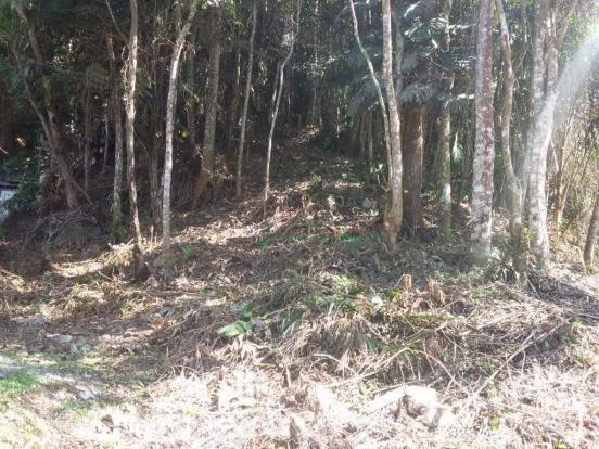 Terreno residencial à venda, Parque do Ingá, Teresópolis. - Foto 3