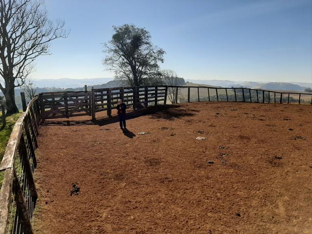 Fazenda de 990 Alqueires ( Escritura Pública) 1 matrícula e com GEO.89 km de Guarapuava PR - Foto 7