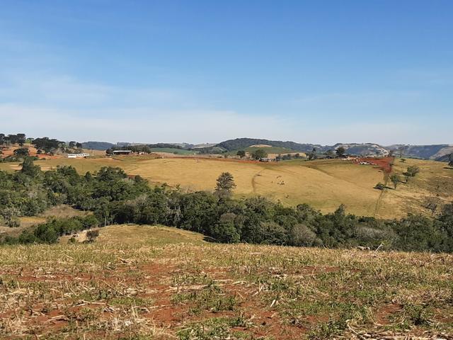 Fazenda de 990 Alqueires ( Escritura Pública) 1 matrícula e com GEO.89 km de Guarapuava PR