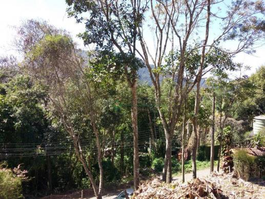 Terreno residencial à venda, Parque do Ingá, Teresópolis. - Foto 6