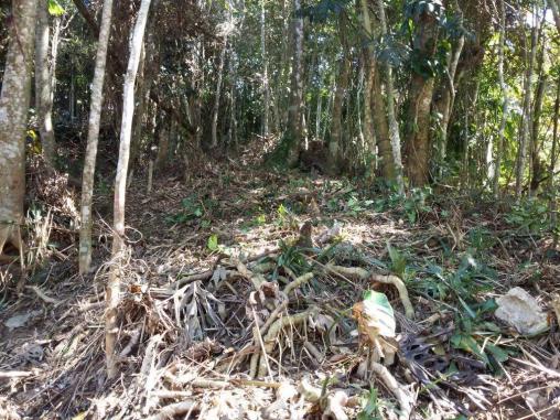 Terreno residencial à venda, Parque do Ingá, Teresópolis. - Foto 8