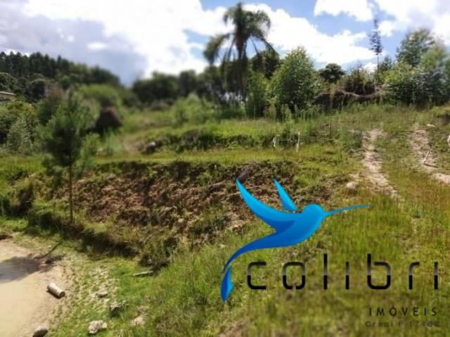 Chácara pronta para criação de gado em mandirituba - Foto 16