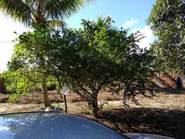 Sitio no Povoado Sapé - ITAPORANGA