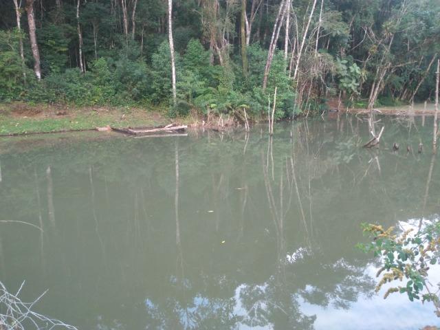 Chácara simples,mas aconchegante,lago na propriedade - Foto 3