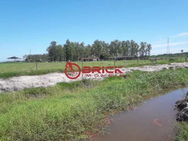 Terreno com 10 mil m² em várzea alegre- guapimirim. - Foto 13