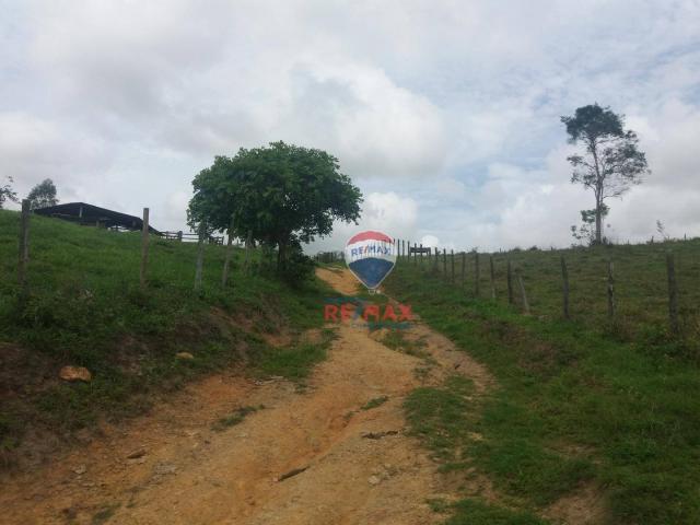 Re/max chave de ouro vende fazendas nas margens do rio buranhém - Foto 20