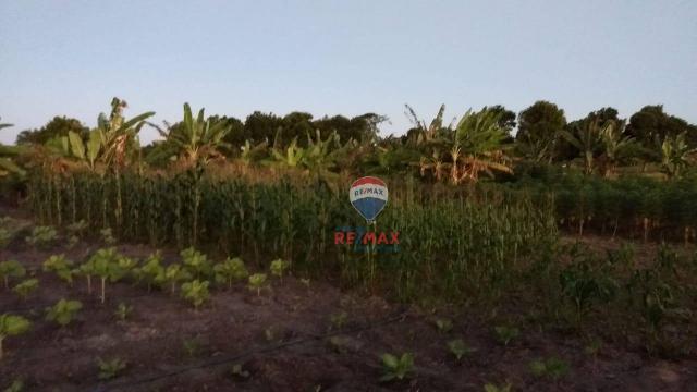 Re/max chave de ouro vende rancho produtivo com casa com 3 dormitórios à venda, 270 m² por - Foto 6