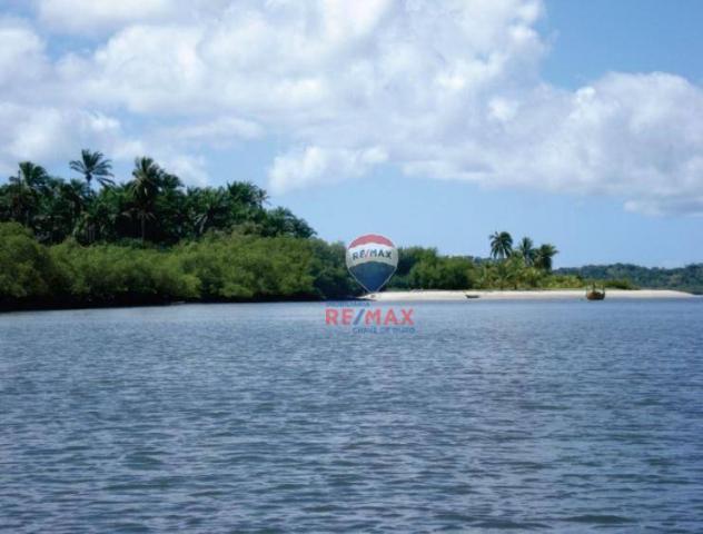 Área à venda, 2000000 m² - igrapiúna - igrapiúna/ba - Foto 4