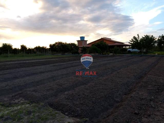 Re/max chave de ouro vende rancho produtivo com casa com 3 dormitórios à venda, 270 m² por - Foto 13