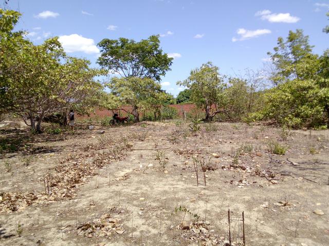 Terreno - Foto 15