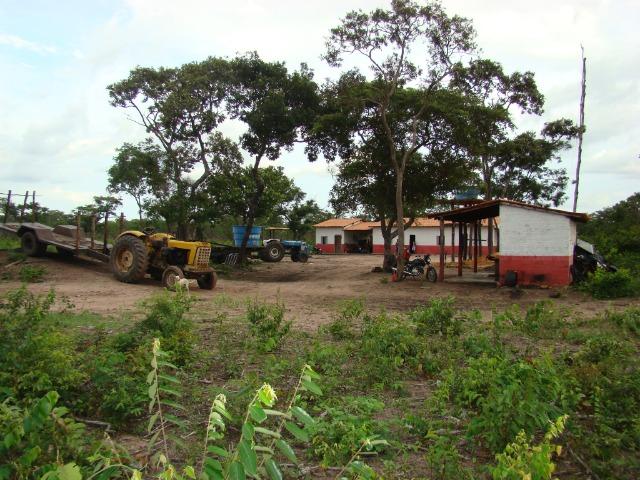 Fazenda com 1.006 hectares, com sede, aberta, para soja e milho - Foto 16
